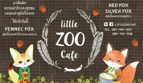 Little Zoo Café 2